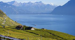 In der Schweiz liegt die Genferseeregion mit 84,2 Jahren nach dem Tessin auf dem zweiten Platz vor der Zentralschweiz (84,0), Z&uuml;rich (83,9), der Nordwestschweiz (83,6) und und der Ostschweiz (83,4). Schlusslicht ist der Espace Mittelland (83,1).