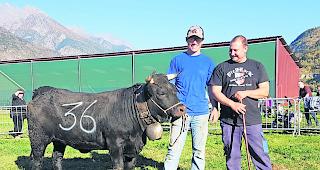 Durchgesetzt. &laquo;Bolera&raquo; aus der Stallung Seewer und Thommen in Gampinen holt sich in der Gruppe A den ersten Platz und wird zugleich &laquo;Reine des Reines&raquo;.   