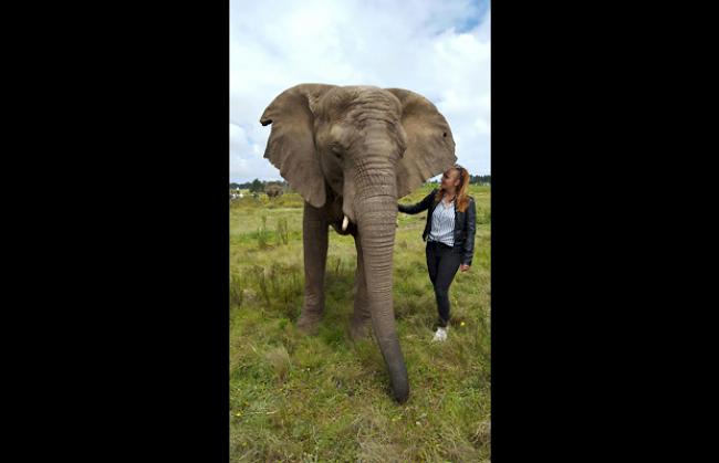 «Im Knysna Elephant-Park»