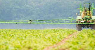 Ein Bauer spr&uuml;ht Herbizide zur Vernichtung von Unkraut auf ein Feld. (Archiv)