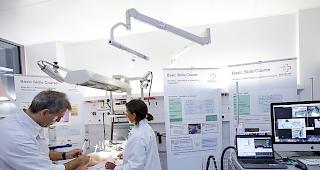 Die Gesetzgebung soll an die Entwicklung des Bundesrechts angepasst werden.