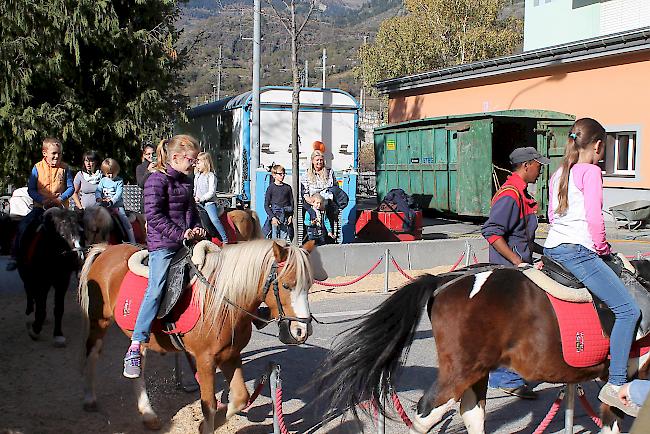 Das Ponyreiten erfreut sich grosser Beliebtheit.