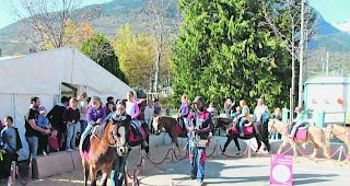 Beliebt. Ponyreiten war bei den kleinen Besuchern des Zoos hoch im Kurs. 