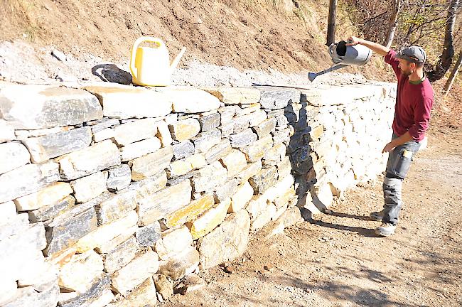 Sobald die Trockensteinmauer nass wird, glänzen die Steine in den typischen "Saint-Léonard-Farben", führt Bauleiter Robin Locher vor.