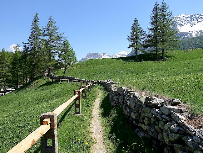 Der Stockalperweg bleibt während der Wintermonate über die gesamte Strecke für Wanderer geschlossen. 