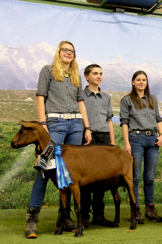 In der Kategorie andere Rassen gewann die Gämsfarbige Gebirgsziege des Landwirtschaftlichen Zentrums Oberwallis. Hier von links: Anthamatten Serena, Cyril Mathieu und Alexandra Jossen