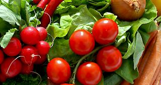 Nicht jedes Gem&uuml;se im Garten nimmt gleich viel Quecksilber auf.