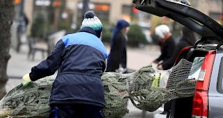 Tabakbauern erhalten Direktzahlungen, Landwirte mit Christbaum-Kulturen hingegen gem&auml;ss einem Entscheid des Bundesverwaltungsgerichts vom Sommer nicht. (Symbolbild)