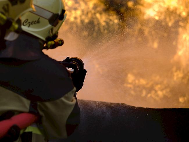 Die Flammen bereiteten sich nach Angaben der Feuerwehr sehr schnell aus. (Symbolbild)