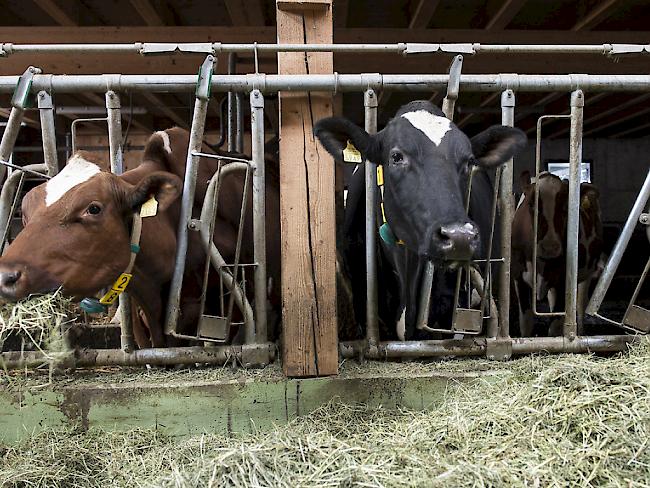 Ohne Schutzzölle funktioniere die Landwirtschaft in der Schweiz nicht. (Symbolbild)