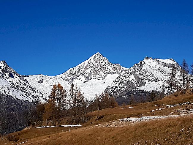 Das Bietschhorn von Bürchen aus gesehen.