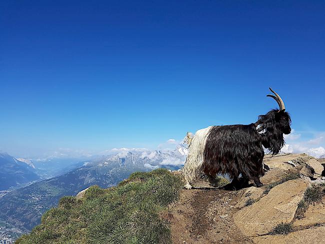 «Rosswald, Fühlhorn in Richtung Folluhore, einfach Heimat.»