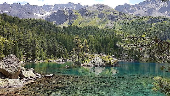 Idyllisches Landschaftsfoto vom 8. Juli 2017:  am Lagh da Saoseo, südöstlich vom Berninapass.