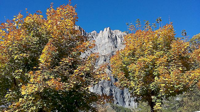 Blick auf das Daubenhorn in Leukerbad, Obere Maressen. Das Foto ist am 11. Oktober 2017 entstanden.