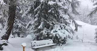 Bei starken Schneef&auml;llen ist auch bei Fussg&auml;ngern Vorsicht geboten. 



