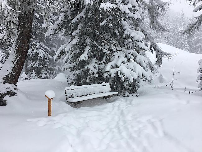 Bei starken Schneefällen ist auch bei Fussgängern Vorsicht geboten. 



