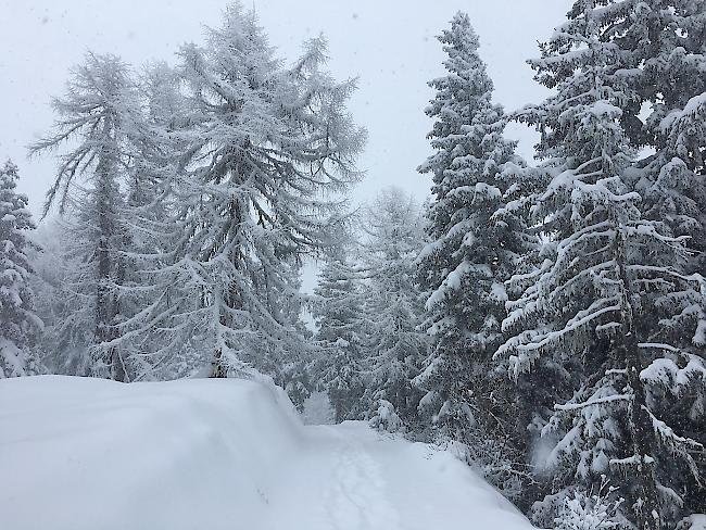 Besonders in Waldnähe ist derzeit Vorsicht angesagt.