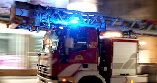 Bei Eins&auml;tzen treffen Feuerwehrleute manchmal auf gef&auml;hrliche Tiere. (Symbolbild)