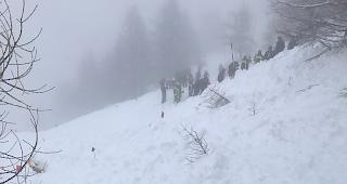 Ein Lawinenhund auf der Suche nach m&ouml;glichen Opfern in den Schneemassen.