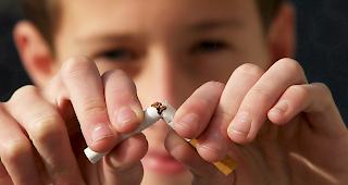 Rekord. 1479 Lehrlinge aus dem Wallis wollen Nichtraucher sein.