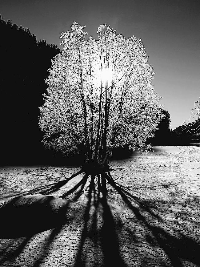 Wintertraum an der Langlaufloipe Goms bei Obergesteln.