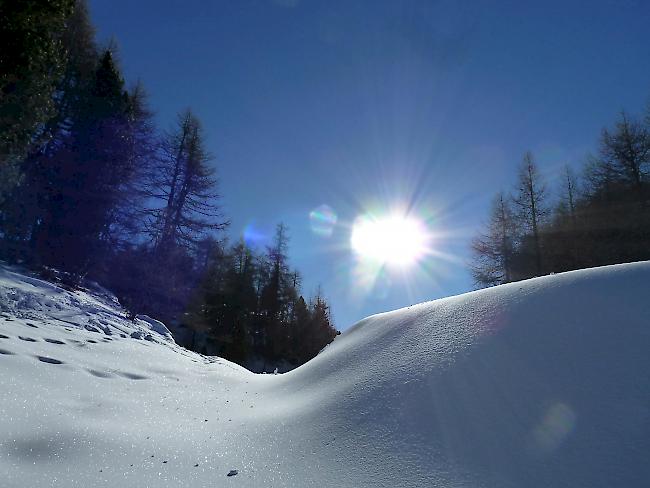 Blick von der Bürchneralp