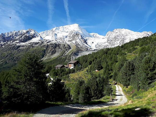 Aufnahme im August 2017 bei der Wanderung zur Cabane des Aiguilles 
oberhalb Arolla mit Blick auf den Glacier de Piece und Glacier de Tsijiore Nouve.