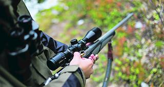 Ertappt. Zwei Oberwalliser J&auml;ger sind wegen illegaler Nachtjagd und Falschangaben beim Wildh&uuml;ter verurteilt worden. 