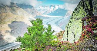 Schnappschuss. Das Gewinnerfoto von Chantal Stucky. 