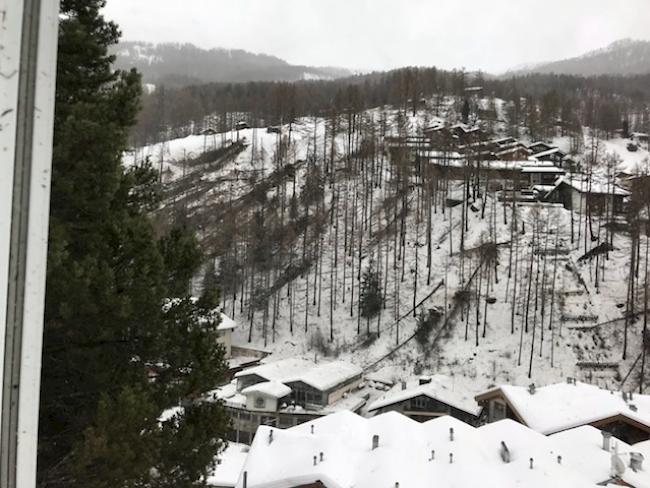 Zahlreiche umgerissene Bäume in der Region Zermatt.