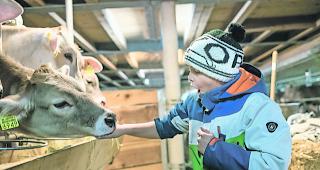 Stallgeruch. Mit den K&uuml;hen auf Augenh&ouml;he.  