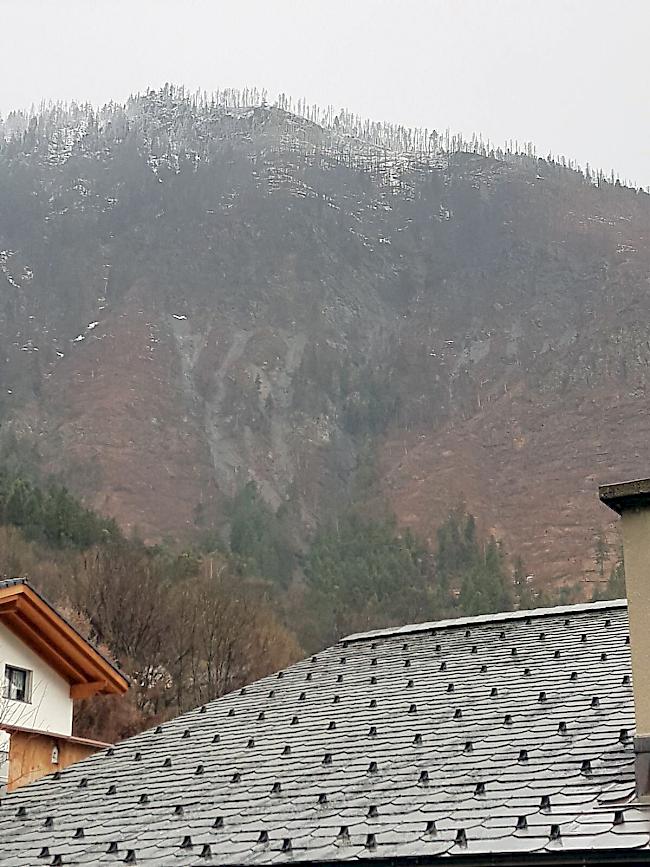 Am Montagabend ist es oberhalb von Eyholz im Teelwald zu einem Murgang gekommen. 