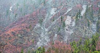 Bewegte H&auml;nge. Oberhalb von Eyholz stauten sich in den letzten Tagen in den Auffangbecken bis 6000 Kubikmeter Ger&ouml;ll, Baumst&auml;mme und Schlamm.  