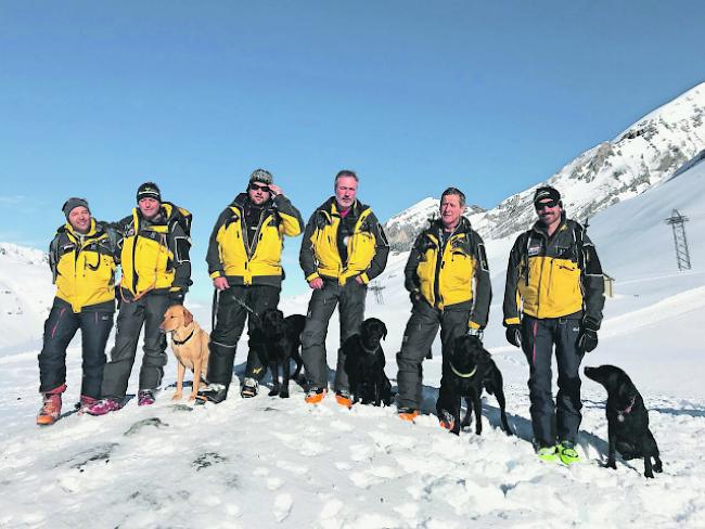 Kompetent. Das Oberwalliser Kurskader des Lawinenhundekurses der KWRO. 