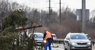Ein durch den Sturm Burglind umgest&uuml;rzter Baum blockiert die Durchfahrt auf der Autobahn A1 Fahrtrichtung Bern. (Archiv)