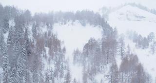 Die Lawine bei Ovronnaz war gut 200 Meter lang.