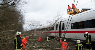 B&auml;ume und &Auml;ste liegen bei Lamspringe (Niedersachsen) auf der ICE-Trasse zwischen Hannover - G&ouml;ttingen.