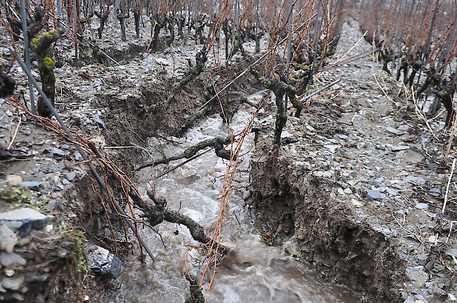 Die Rebberge bei Getwing werden ebenfalls von den Wassermassen geflutet.