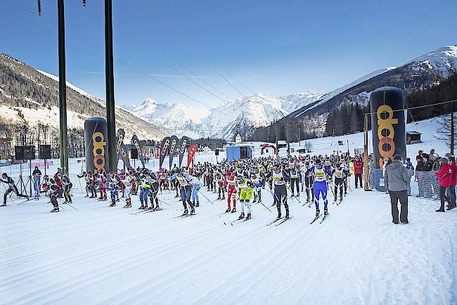 Vom 27. Januar bis zum 4. Februar finden die Langlaufwettkämpfe im Goms statt.