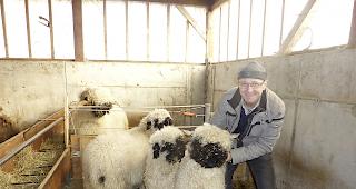 In der Kritik: Der Sch&auml;fer-Pr&auml;sident Alwin Meichtry.