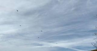 US-Pr&auml;sident Trump in Begleitung der Schweizer Armee auf dem Weg nach Davos. W&auml;hrend dieser Zeit stand der Betrieb auf dem Flughafen Z&uuml;rich komplett still.