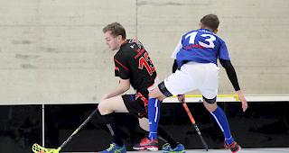 Die Herren der UHC Visper Lions siegten gegen Lausanne mit 5:2. 