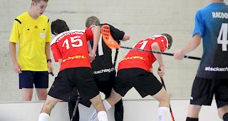 Die UHC Visper Lions haben hart gek&auml;mpft und trotzdem verloren.