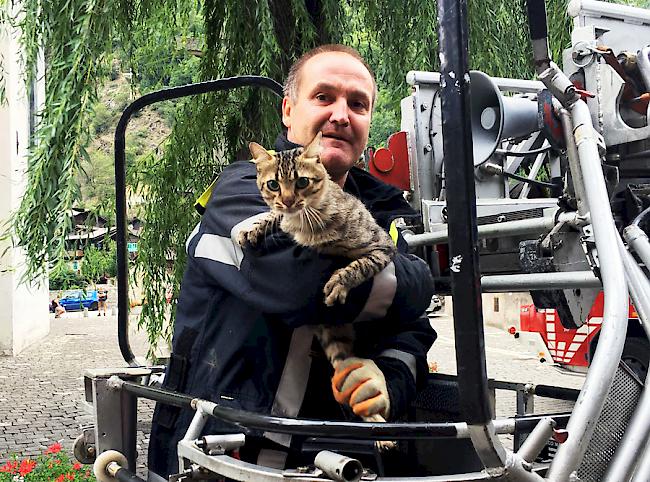 Vielfältige Einsatzgebiete. Katzenrettung auf dem Kirchplatz in Naters.