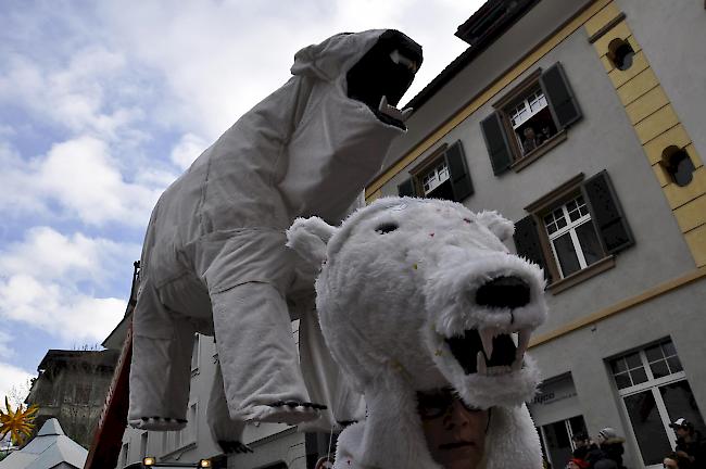 Die Eisbären und der Klimawandel.