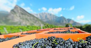 Preise bestimmt. Aber warum wird der Fall erst heute publik? 