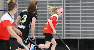 Die Damen des UHC Visper Lions erspielten sich einen Heimsieg.