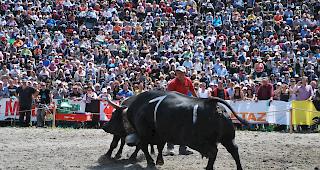 Nur der Name &auml;ndert. Das Nationale Stechfest wird weiterhin in Aproz stattfinden.