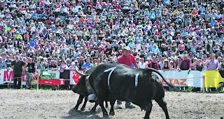 Nur der Name &auml;ndert. Das Nationale Stechfest findet weiterhin in der Arena von Aproz statt. 