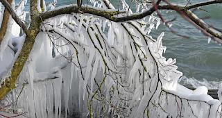 Eiszauber am Hafen in Romanshorn am Bodensee am Montag.